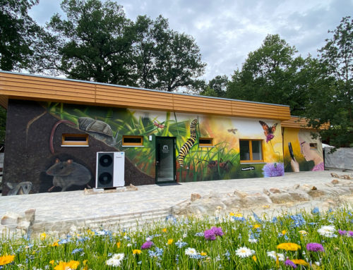 Mural für die Zooschule im Naturzoo Rheine